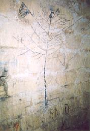 Célèbre arbre de la Liberté, rue Vaugirard