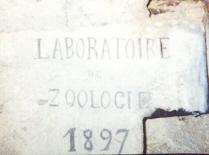 Inscription indiquant la direction du labo Virey